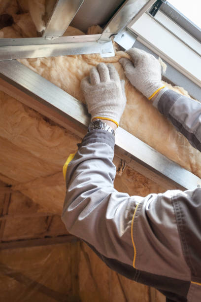 Best Professional Insulation Contractor  in Terry, MS