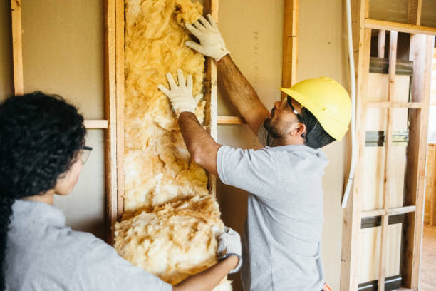 Best Garage Insulation Installation  in Terry, MS