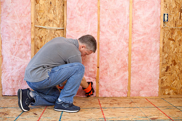 Best Affordable Insulation Services  in Terry, MS